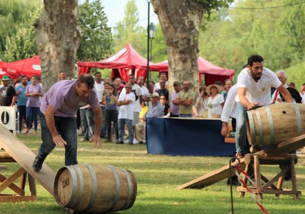 Festa dos Tabuleiros: Jogos populares regressam no próximo fim-de-semana às freguesias