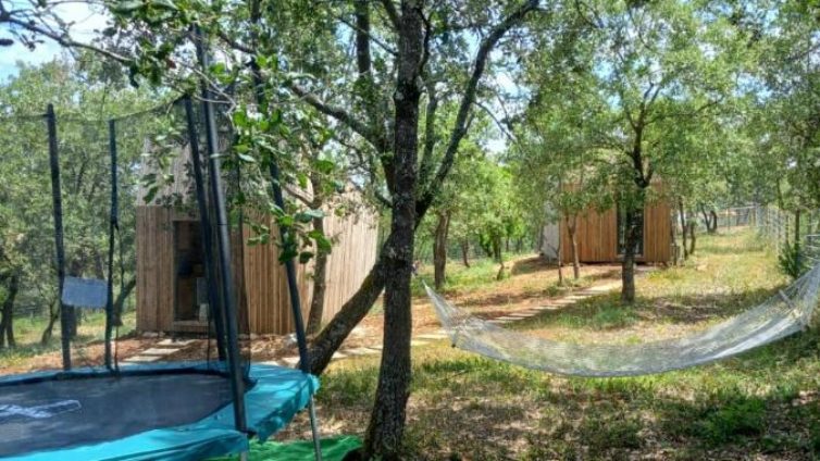 Sabia que em Tomar há bungalows escondidos numa floresta para desligar e relaxar?
