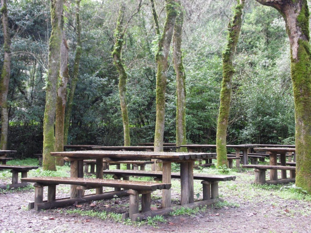 71c1ca2d129bd889bf058be4fecc62a4