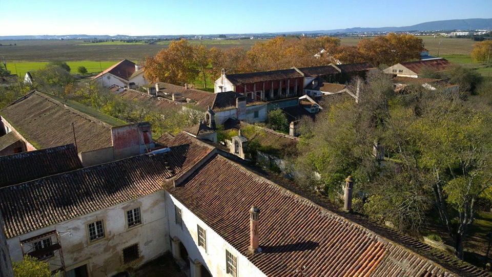 72631713 2692883507398824 5246932413312925696 n