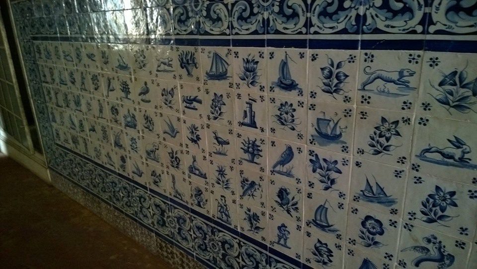 73092020 2692883384065503 2778619449945620480 n