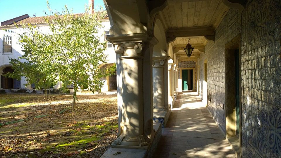 73399763 2692884667398708 1722076242661867520 n