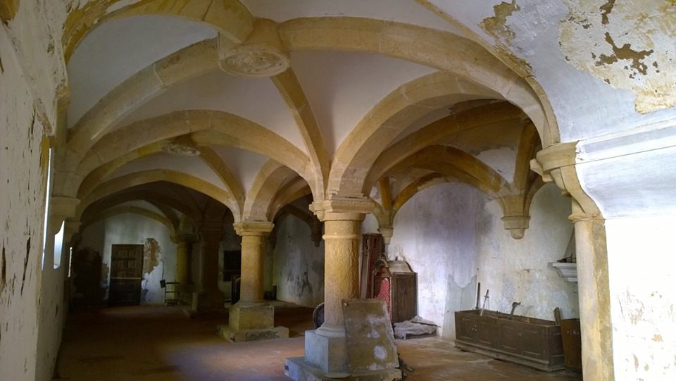 73482825 2692883624065479 6224882812911091712 n