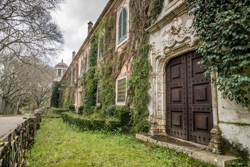 75043213 2692890497398125 5388381886986846208 n