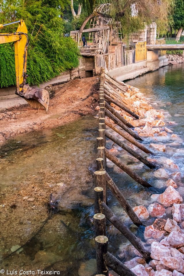 75332803 10218219329492224 4758163764933558272 n