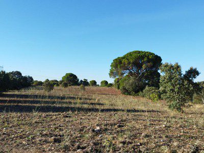 Torres Novas vai acolher duas fábricas num investimento de 40 milhões de euros