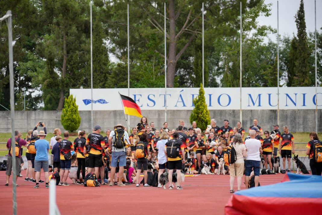 Os melhores cães do mundo estão a competir em Abrantes