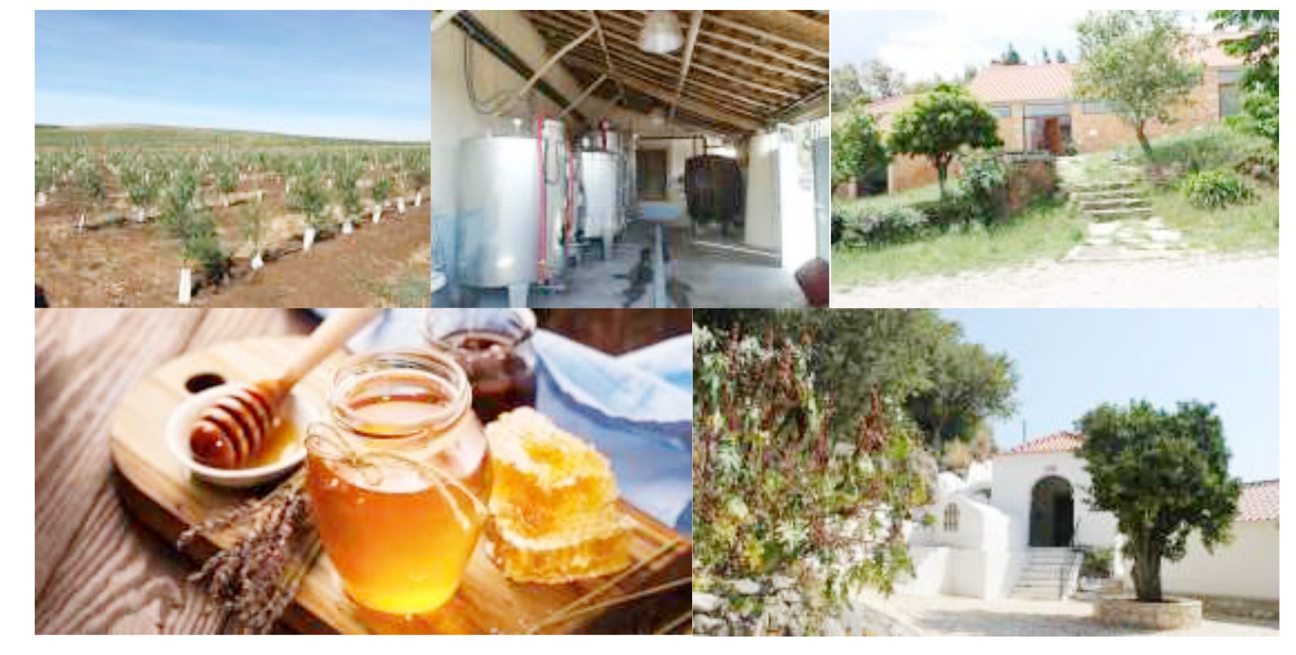 ADIRN Concursos 2019