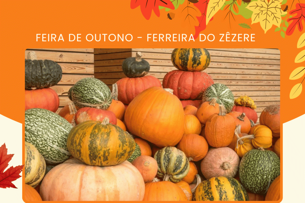 Feira de Outono anima domingo, 23 de novembro, em Ferreira do Zêzere