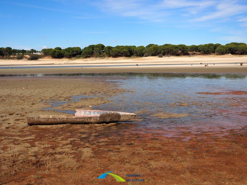 Acude Monte da Barca seca armas terreno Coruche 010922 13