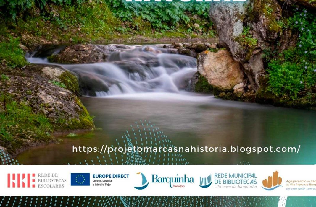 «Vamos fotografar o nosso património natural» é tema de concurso de fotografia