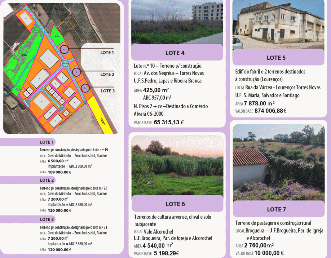 Município de Torres Novas vai vender imóveis municipais em hasta pública