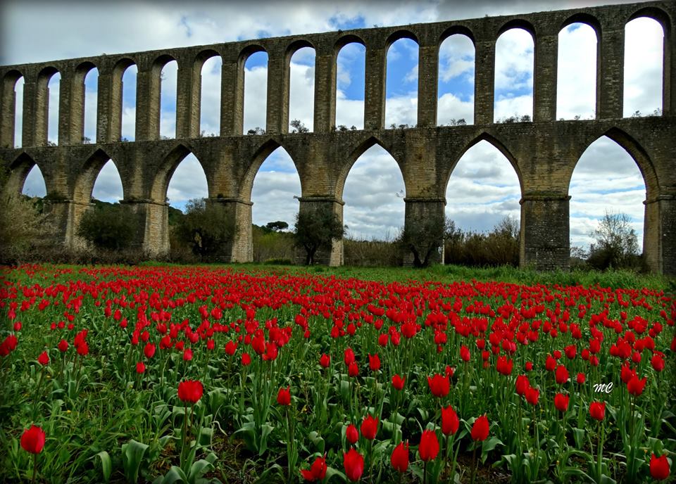 Casinos Online: 6 mitos que devem ser desmistificados