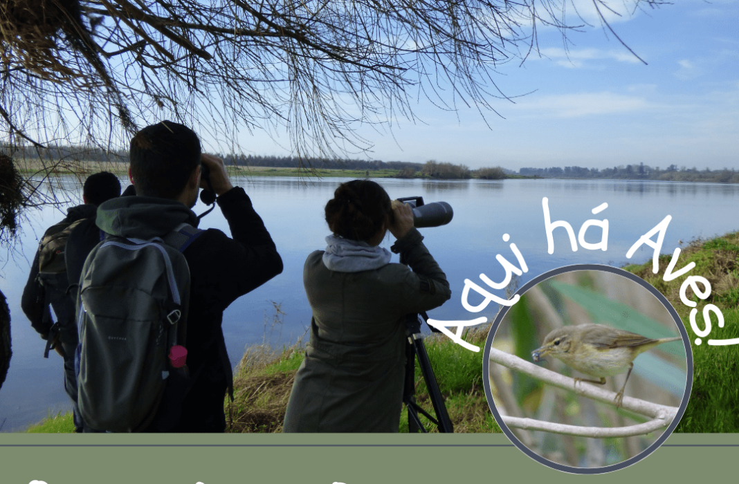 “Aqui há Aves!” no Barquinha Parque no próximo domingo
