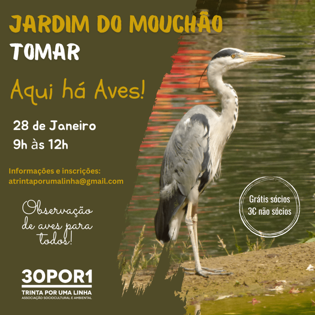 AquiháAves! TMR.JAN2024