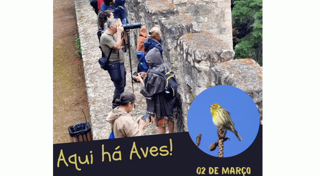 desta vez no Jardim das Rosas e no Corredor Ecológico do Almonda.