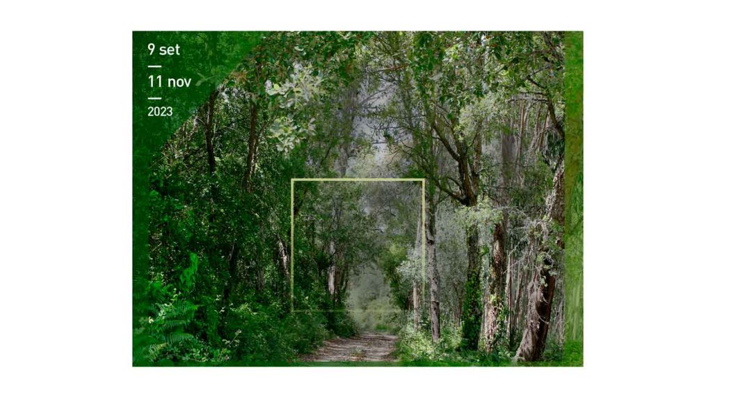 Torres Novas: 42 artistas expõem na Praça do Peixe