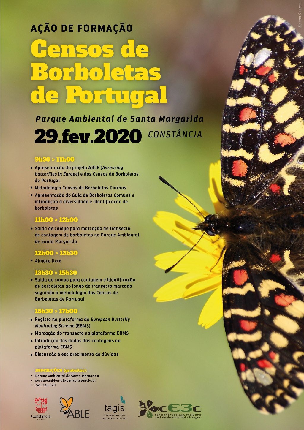 Cartaz Acao Formacao Borboletas