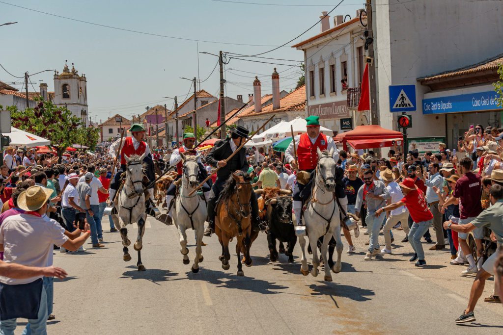 Chamusca Ascensão Entrada de toiros1 2023