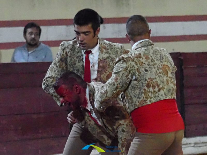 Cinco forcados hospitalizados após corrida de touros em Salvaterra de Magos