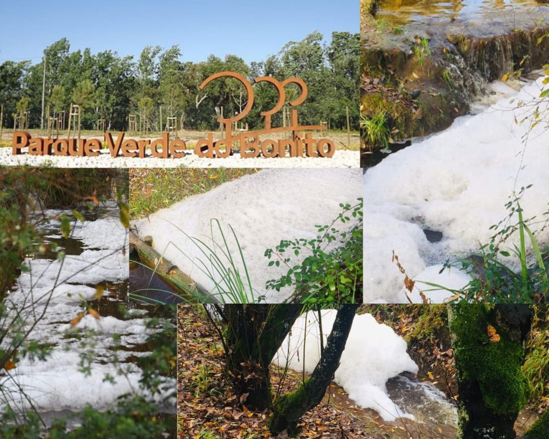 Andam a poluir a Ribeira da Árgea – Bonito