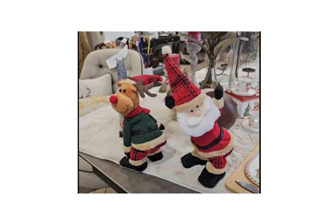 Natal já chegou à loja «Pinheiro-Bravo» em Tomar