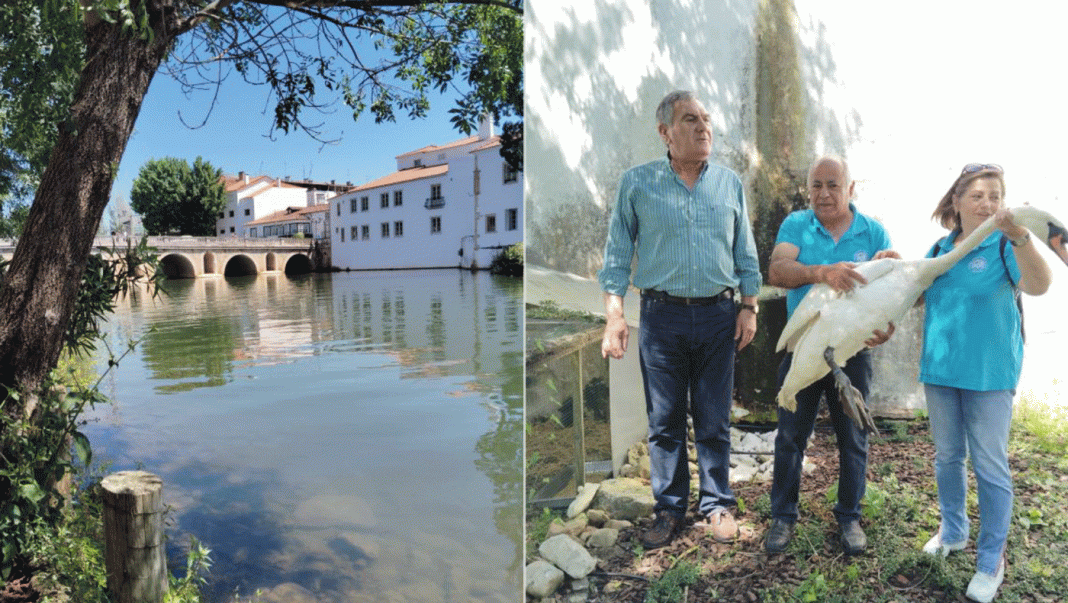 Prioridades culturais