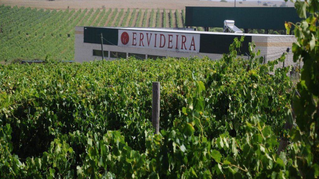 Ervideira 1060x594 1