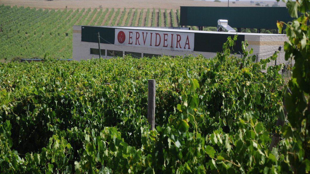 «Ervideira» abre loja de vinhos em Fátima