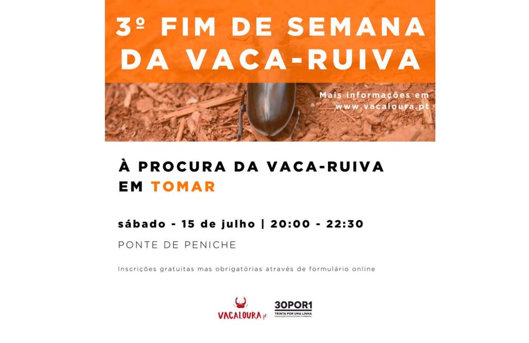 30POR1LINHA dedica atividade à procura da «vaca-ruiva» em Tomar