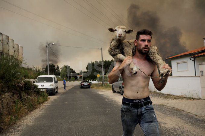 Incêndios: Imagem que revela a tragédia que se abate em vários concelhos do centro do país