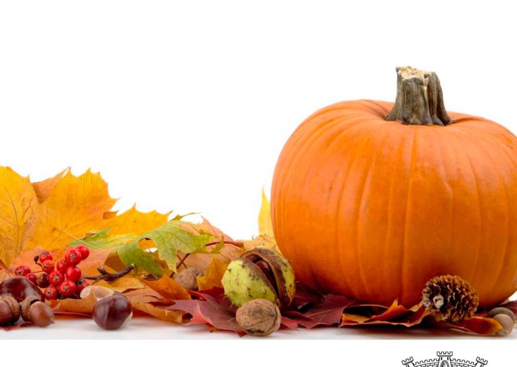 Ficha Inscricao Aboboras