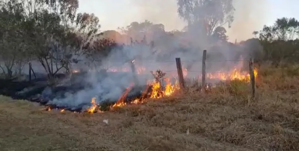 Polícia Judiciária detém homem por crimes de violação