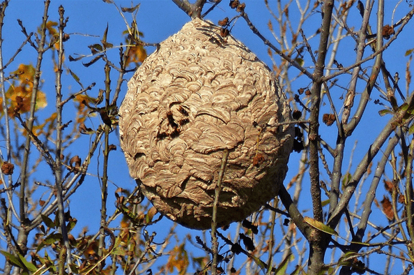 Foto20210509152100212