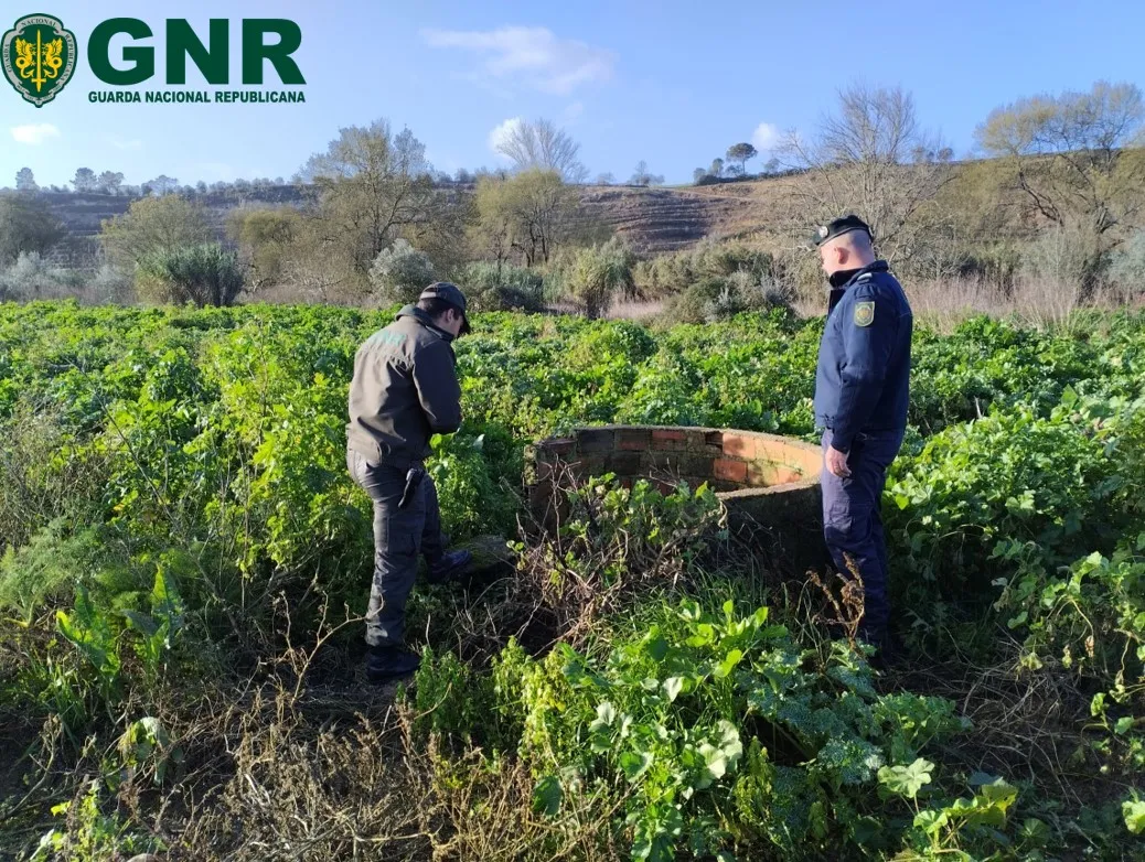 GNR levanta 30 contraordenações por falta de coberturas em poços, fossas e fendas em Tomar e Ferreira do Zêzere