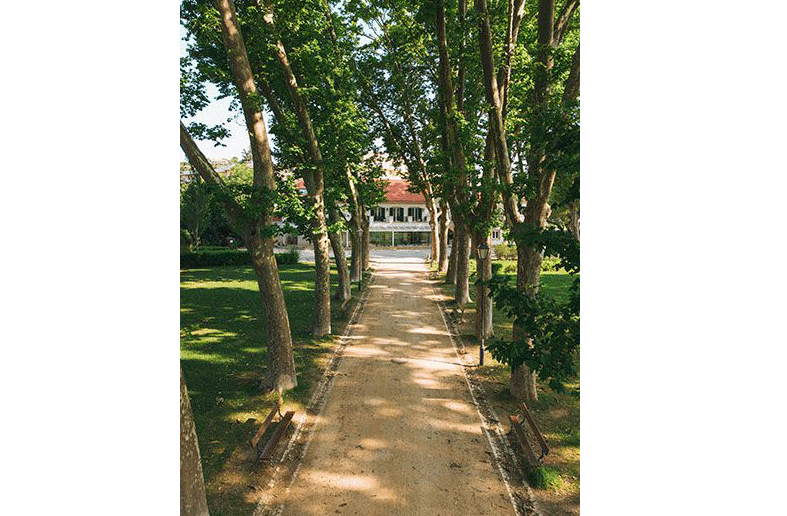 Joana e Catarina Simões lançam petição contra calcetamento da via principal do Parque do Mouchão