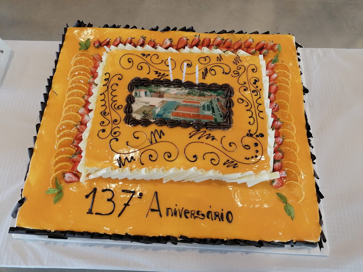 O navio Sagres e as suas velas com a Cruz da Ordem de Cristo