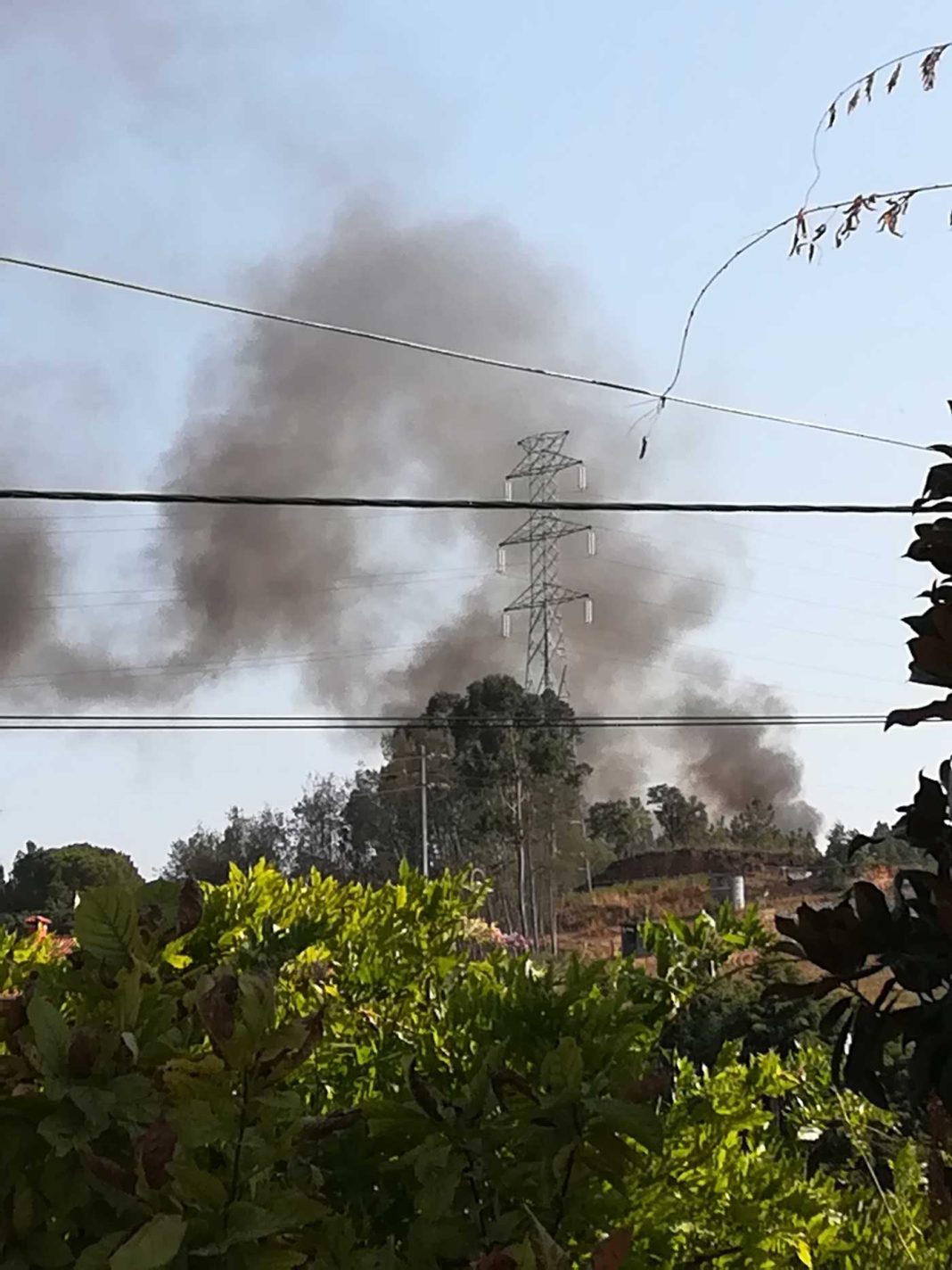 Incêndio em Asseiceira