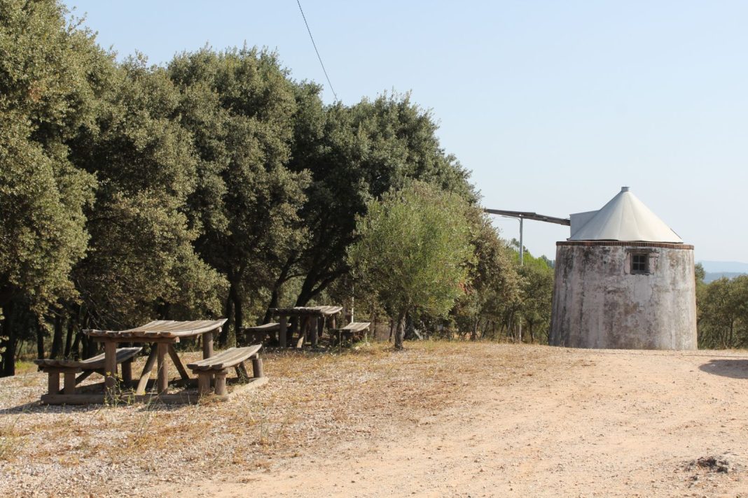 Quer conhecer moinhos na região? Participe na Caminhada dos Moinhos (Casal Valentão)
