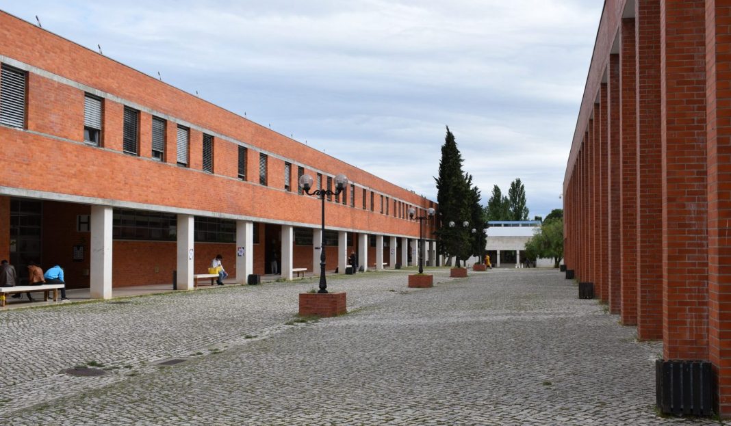 Mais de 50% das vagas ficaram por preencher no Politécnico de Tomar