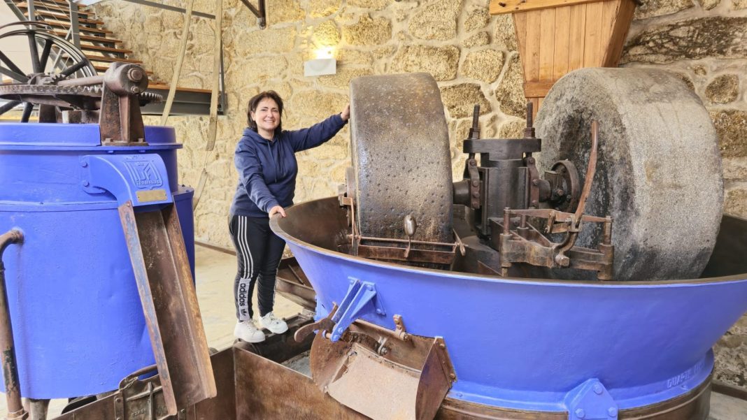 Ainda sou do tempo dos lagares de tapetes: um lamento pelo abandono da Cooperativa de Montes
