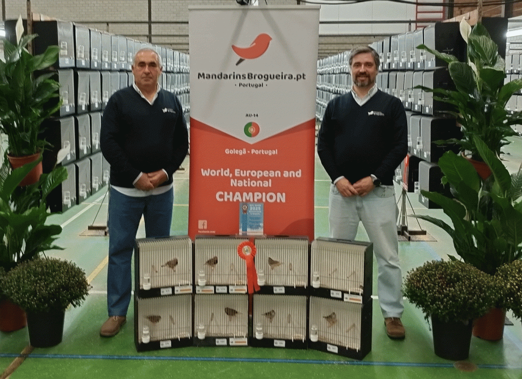 Criadores de aves da Golegã brilham em palco internacional c/vídeo