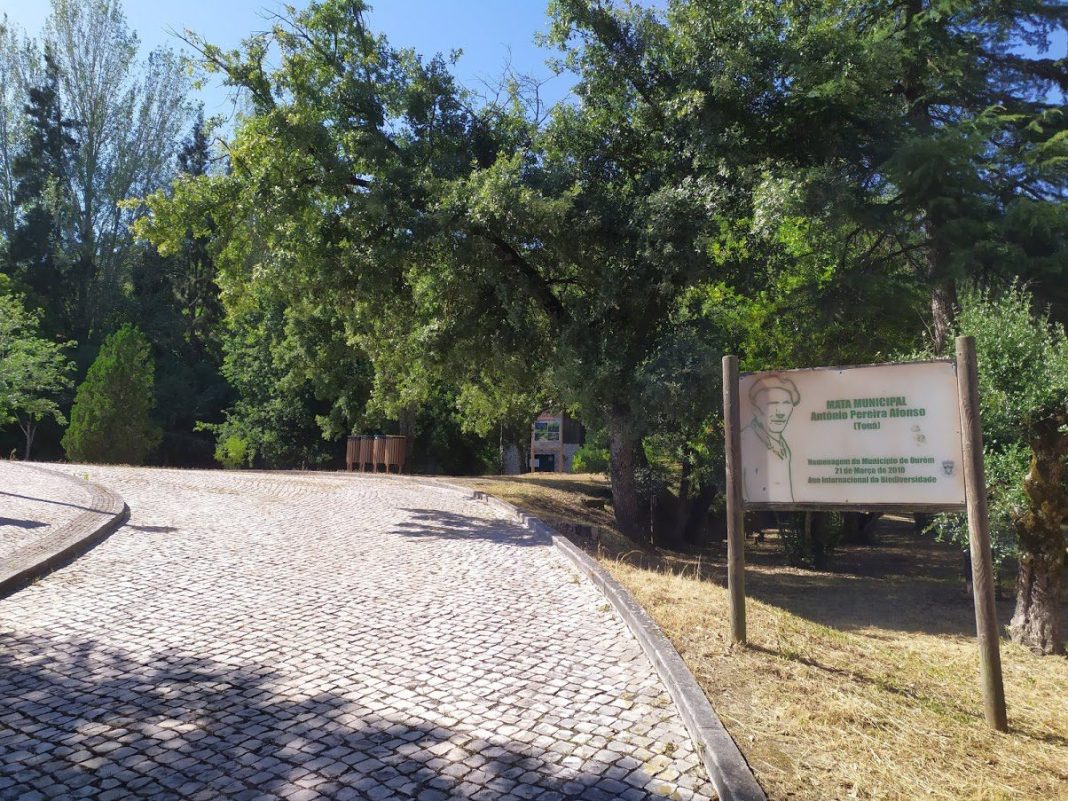 Câmara vai reabilitar a Mata Municipal de Ourém