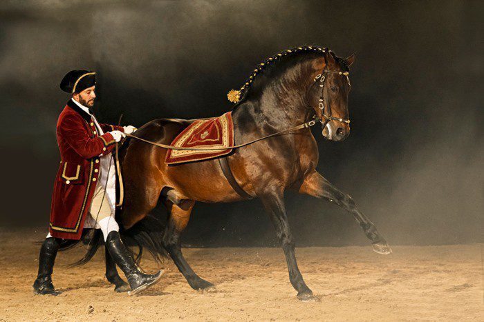 Candidatura propõe «A Arte Equestre Portuguesa» a Património Imaterial da Humanidade da UNESCO