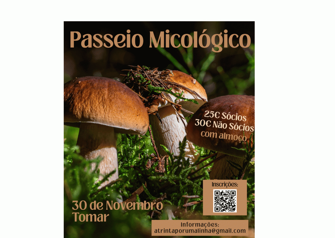 30POR1LINHA organiza 2.º Passeio Micológico em Tomar