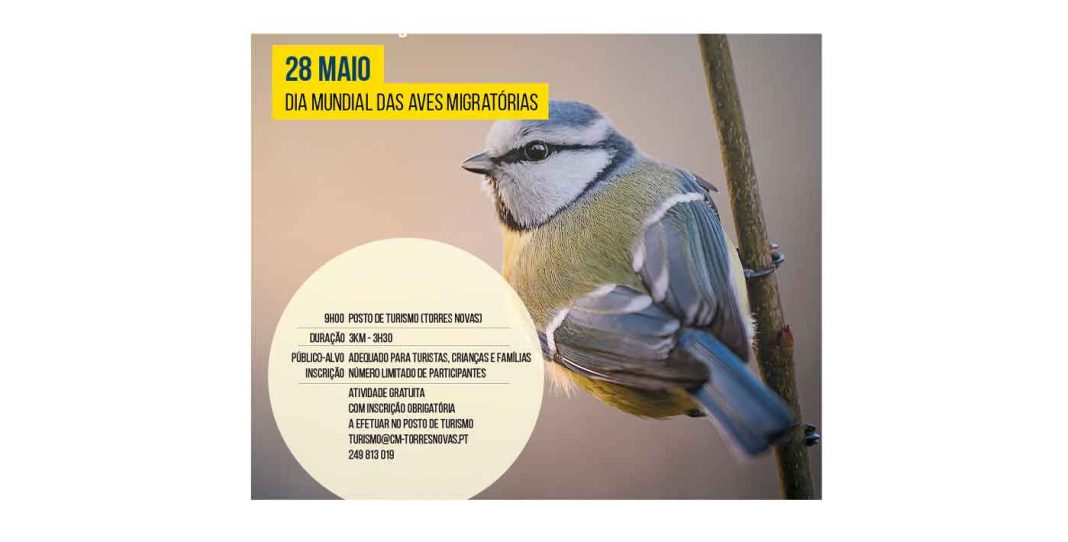 Torres Novas: Passeio Interpretativo no Património Natural / Observação de Aves na cidade