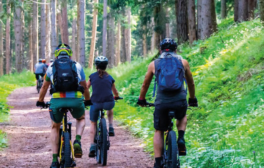 Torres Novas: Passeio de BTT «Rota de Olaia», dia 26 de junho