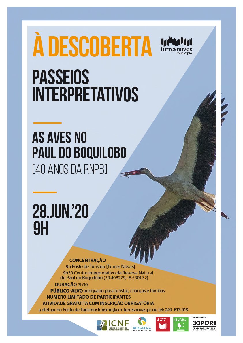 À Descoberta do Paul do Boquilobo