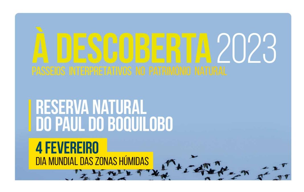 Passeios Intrepretativos Paul Boquilobo 2023