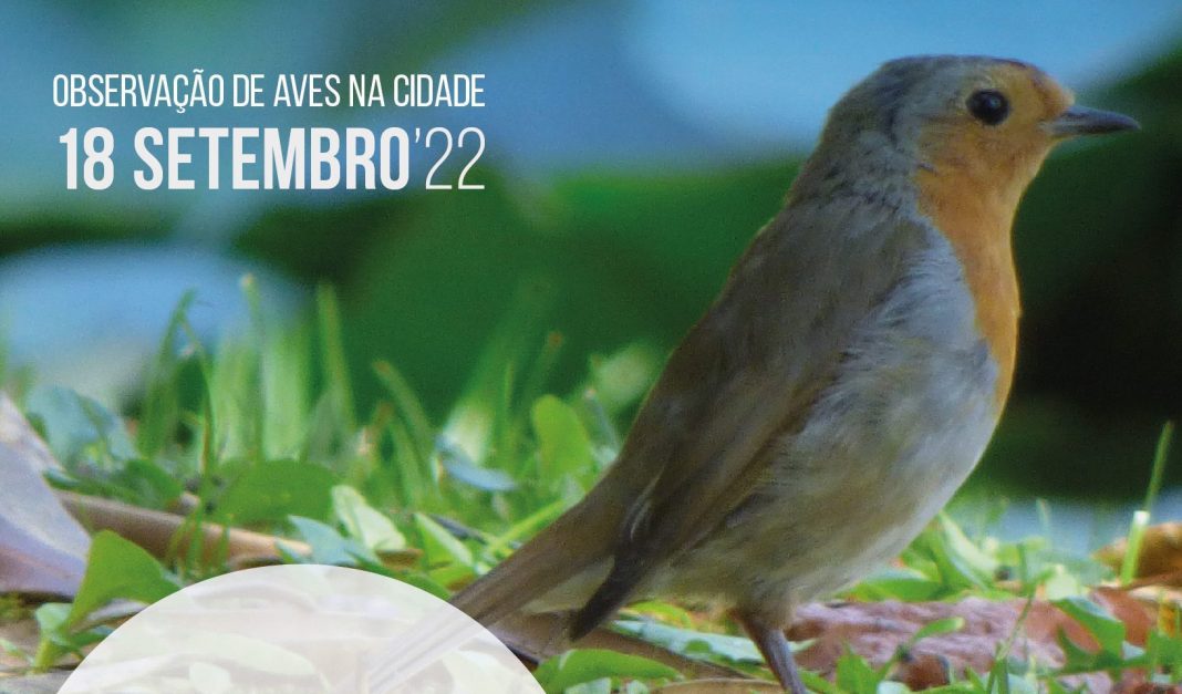 RT1646 Passeios intrepretativos 18setemebo 01 vvv